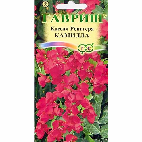 Кассия Ренигера Гавриш изображение 1 артикул 92072