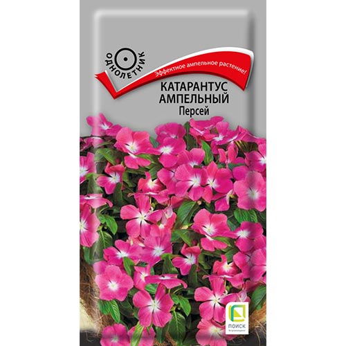 Катарантус ампельный Персей Поиск изображение 1 артикул 93000