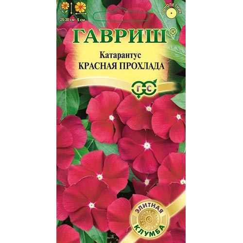 Катарантус Красная прохлада Гавриш изображение 1 артикул 92074