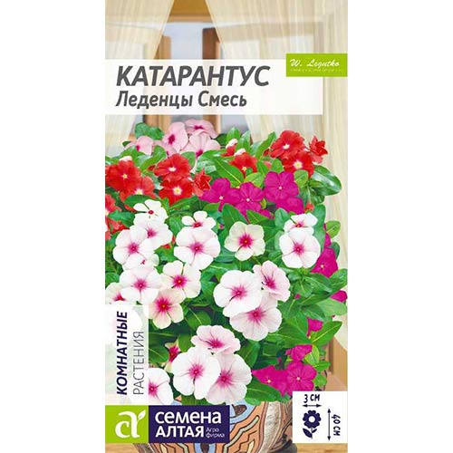 Катарантус Леденцы, смесь окрасок Семена Алтая артикул фото 1 Катарантус Леденцы, смесь окрасок Семена Алтая изображение 1 артикул 84753