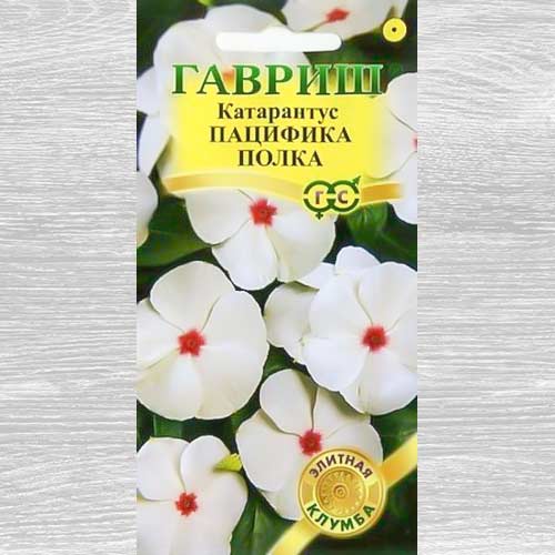 Катарантус Пацифика Полка Гавриш артикул фото 1 Катарантус Пацифика Полка Гавриш изображение 1 артикул 82385