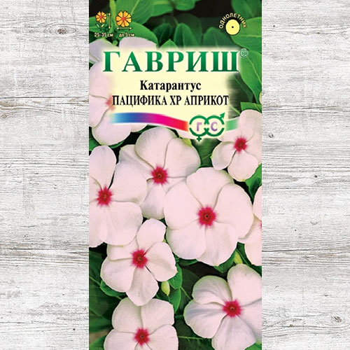 Катарантус Пацифика XP Априкот Гавриш изображение 1 артикул 71188