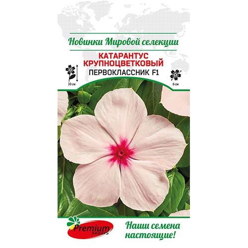 Катарантус Первоклассник F1 Premium Seeds изображение 1 артикул 93196