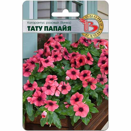 Катарантус (винка) розовый Тату Папайя Биотехника изображение 1 артикул 74832