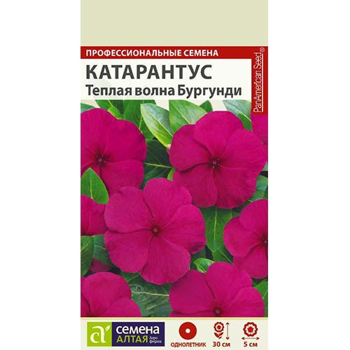Катарантус Теплая волна Бургунди Семена Алтая изображение 1 артикул 94173