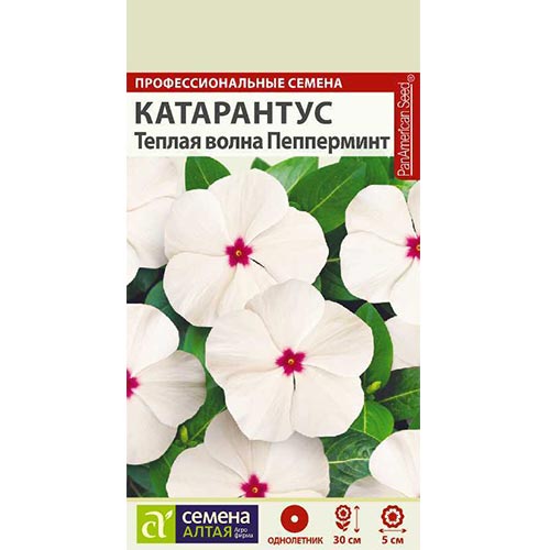 Катарантус Теплая волна Пеперминт Семена Алтая изображение 1 артикул 94174