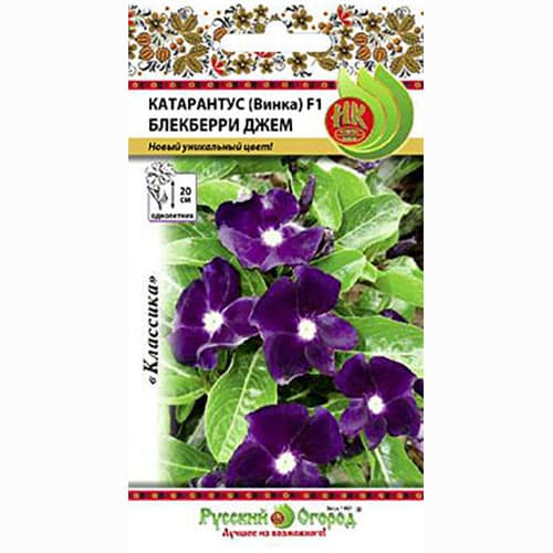 Катарантус (винка) Блэкберри Джем F1 Русский огород НК изображение 1 артикул 92527