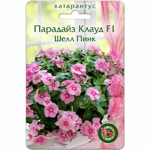 Катарантус (винка) Парадайз Клауд Шелл Пинк F1 Биотехника артикул фото 1 Катарантус (винка) Парадайз Клауд Шелл Пинк F1 Биотехника изображение 1 артикул 40426