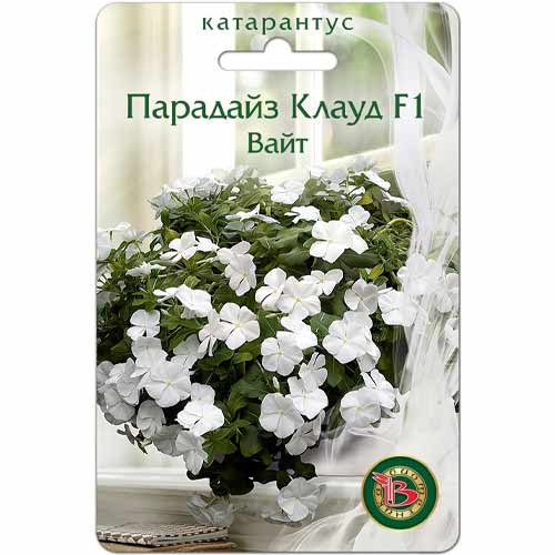 Катарантус (винка) Парадайз Клауд вайт F1 Биотехника артикул фото 1 Катарантус (винка) Парадайз Клауд вайт F1 Биотехника изображение 1 артикул 40424