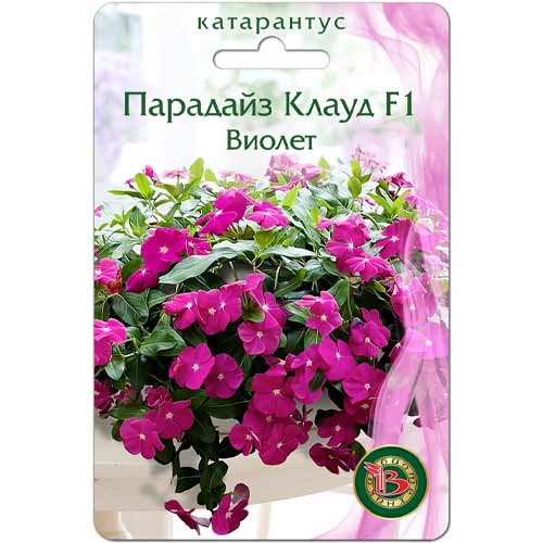 Катарантус (винка) Парадайз Клауд виолет F1 Биотехника артикул фото 1 Катарантус (винка) Парадайз Клауд виолет F1 Биотехника изображение 1 артикул 40425