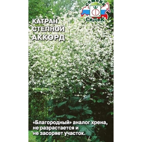 Катран (хрен) Аккорд Седек изображение 1 артикул 93407