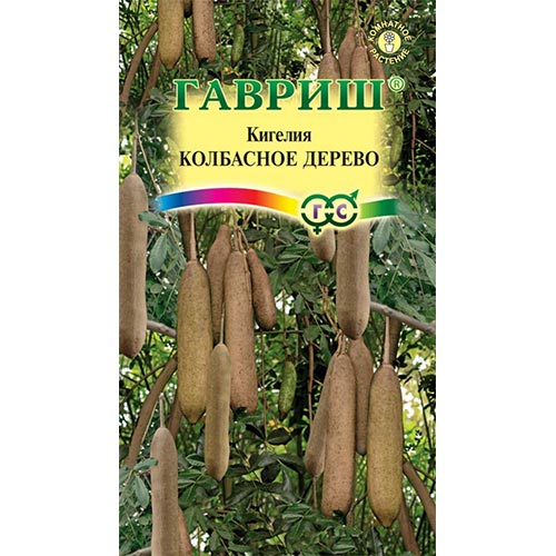 Кигелия Колбасное дерево Гавриш изображение 1 артикул 92076