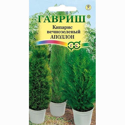 Кипарис вечнозеленый Аполлон Гавриш изображение 1 артикул 66078