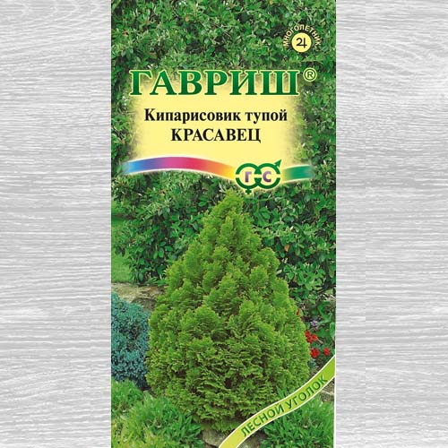 Кипарисовик Красавец изображение 1 артикул 73717