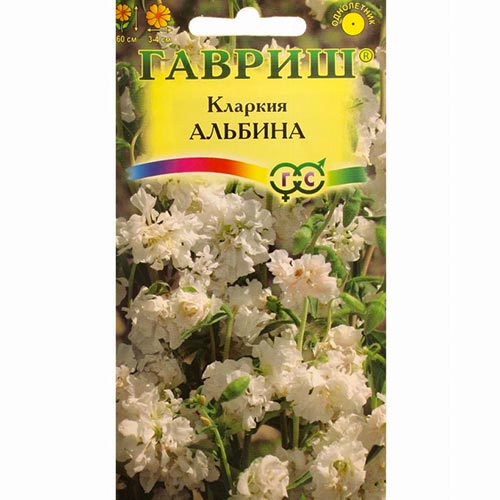 Кларкия Альбина Гавриш изображение 1 артикул 92077