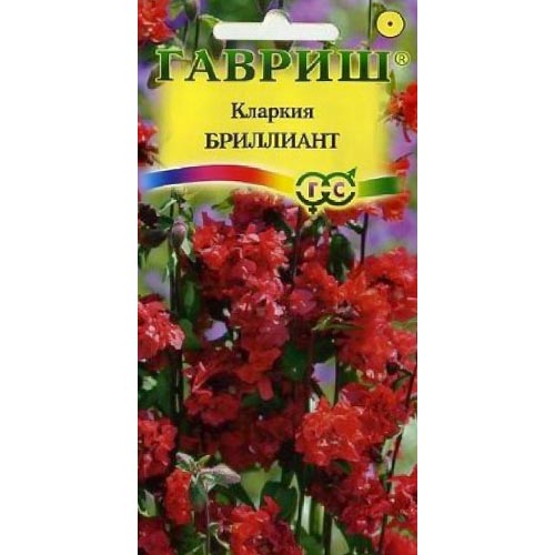 Кларкия Бриллиан Гавриш изображение 1 артикул 92078