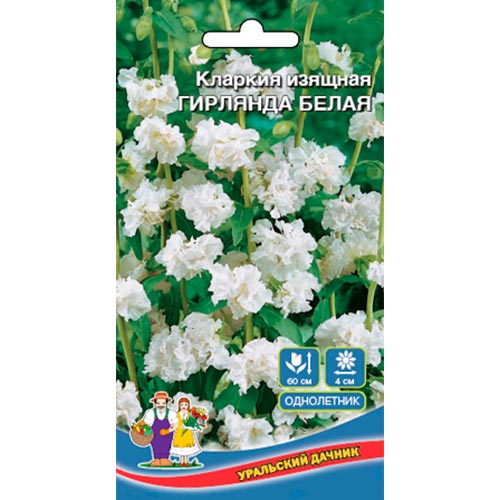 Кларкия Гирлянда белая Уральский дачник изображение 1 артикул 94804