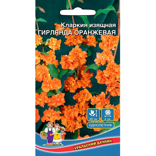 Кларкия Гирлянда оранжевая Уральский дачник изображение 1 артикул 94806