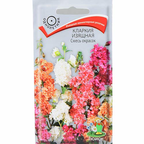 Кларкия Изящная, смесь окрасок Поиск изображение 1 артикул 83204