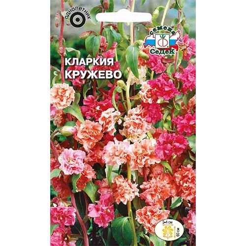 Кларкия Кружево, смесь окрасок Седек изображение 1 артикул 93808