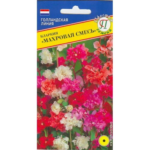 Кларкия Махровая, смесь окрасок Престиж изображение 1 артикул 84487