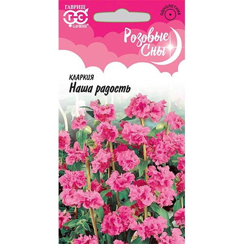 Кларкия Наша радость Гавриш изображение 1 артикул 92079