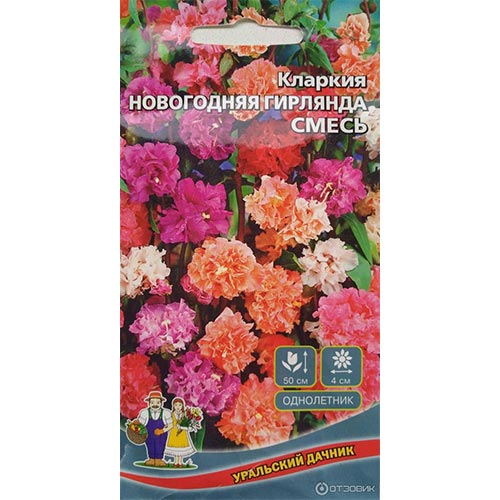 Кларкия Новогодняя гирлянда, смесь окрасок Уральский дачник изображение 1 артикул 94807