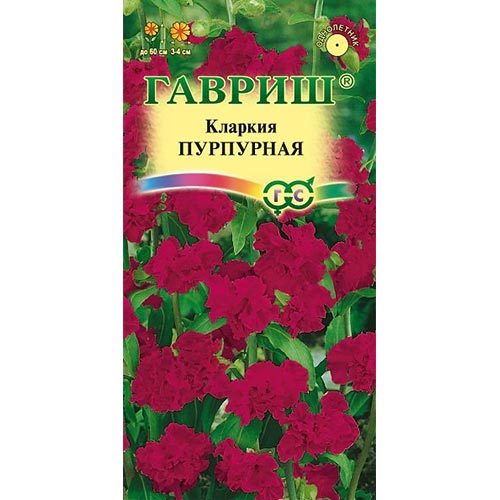 Кларкия Пурпурная Гавриш изображение 1 артикул 92080
