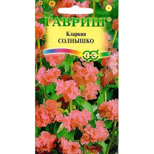 Кларкия Солнышко Гавриш изображение 1 артикул 92081