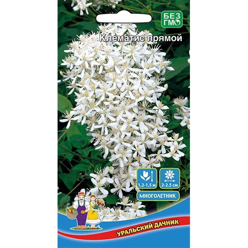 Клематис Прямой Уральский дачник изображение 1 артикул 94808