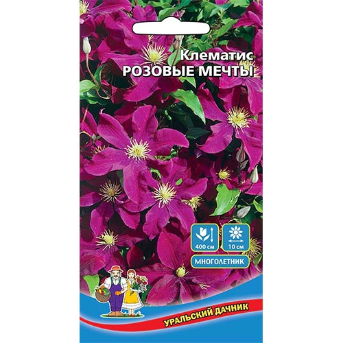 Клематис Розовые мечты Уральский дачник изображение 1 артикул 94809