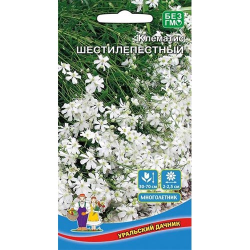 Клематис Шестилепеcтный Уральский дачник изображение 1 артикул 94810
