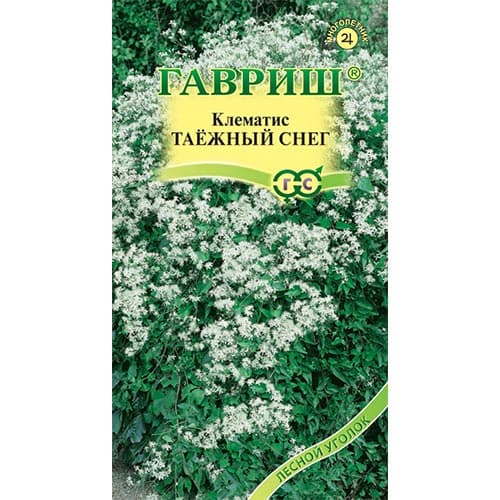 Клематис Таежный снег Гавриш изображение 1 артикул 92087
