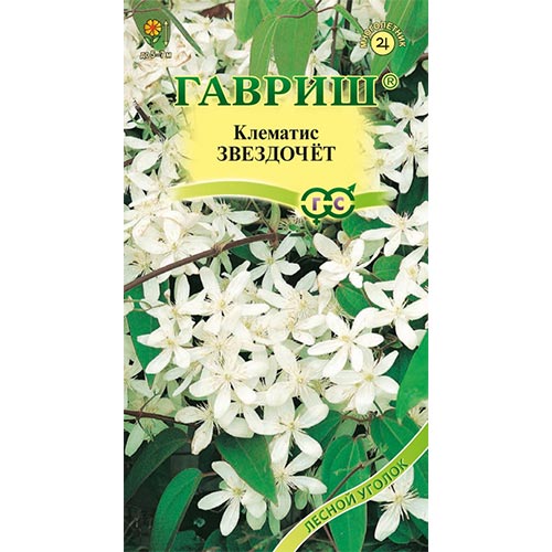 Клематис Звездочет Гавриш изображение 1 артикул 92085