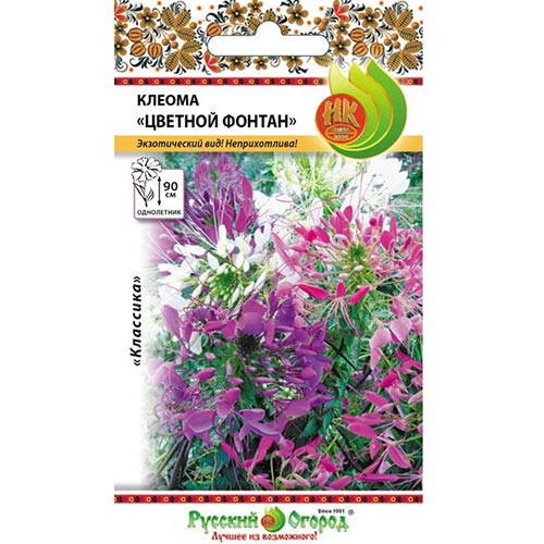 Клеома Цветной фонтан, смесь окрасок НК артикул фото 1 Клеома Цветной фонтан, смесь окрасок НК изображение 1 артикул 92529