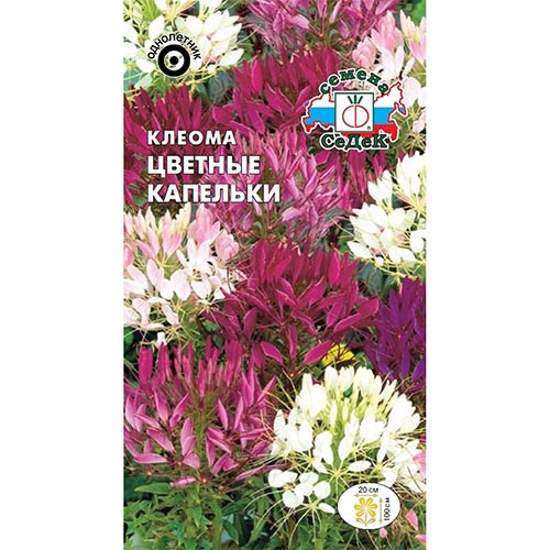 Клеома Цветные капельки, смесь окрасок Седек изображение 1 артикул 93815