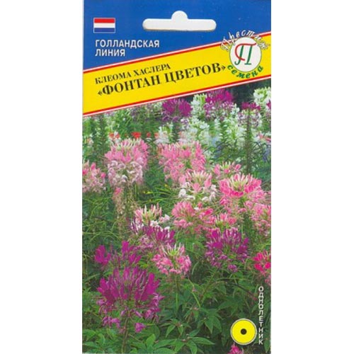 Клеома Фонтан цветов, смесь окрасок Престиж изображение 1 артикул 84488