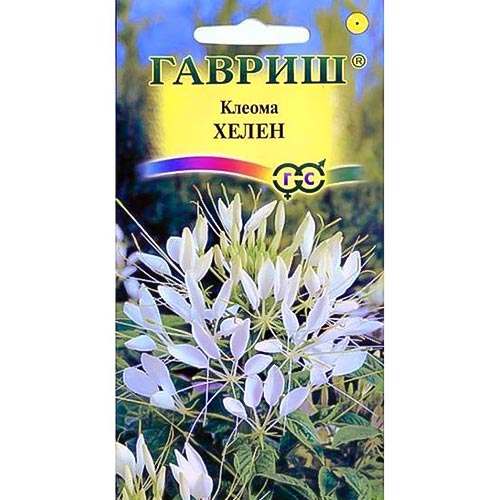 Клеома Хелен белая Гавриш изображение 1 артикул 92092