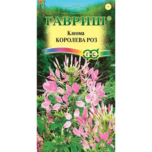 Клеома Королева роз Гавриш изображение 1 артикул 92089