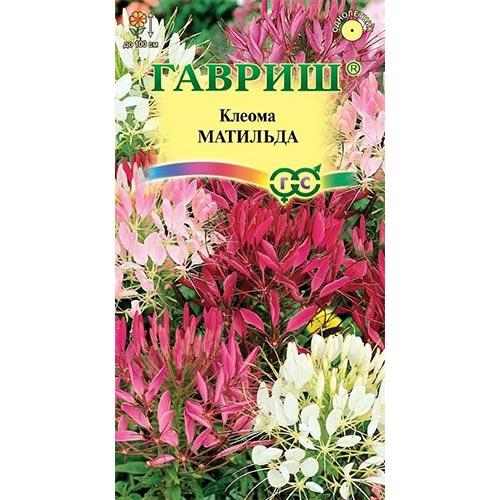 Клеома Матильда, смесь окрасок Гавриш изображение 1 артикул 92090