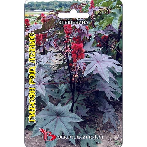 Клещевина Гибсон Рэд Левис Биотехника артикул фото 1 Клещевина Гибсон Рэд Левис Биотехника изображение 1 артикул 91587