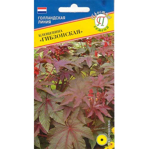 Клещевина Гибзонская Престиж артикул фото 1 Клещевина Гибзонская Престиж изображение 1 артикул 84489