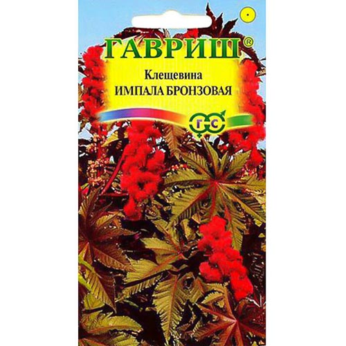 Клещевина Импала бронзовая Гавриш изображение 1 артикул 92094