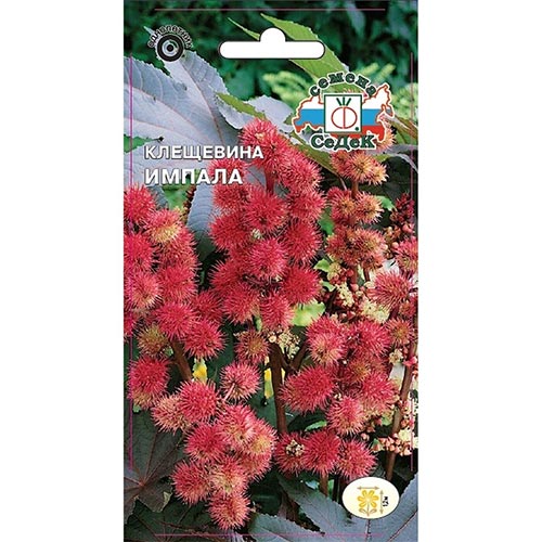 Клещевина Импала Седек изображение 1 артикул 93816