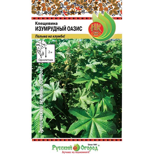 Клещевина Изумрудный оазис НК артикул фото 1 Клещевина Изумрудный оазис НК изображение 1 артикул 92530