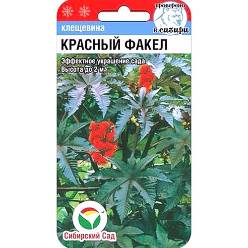 Клещевина Красный факел Сибирский сад изображение 1 артикул 94429