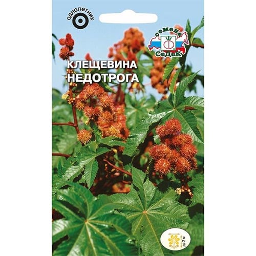Клещевина Недотрога Седек изображение 1 артикул 93817