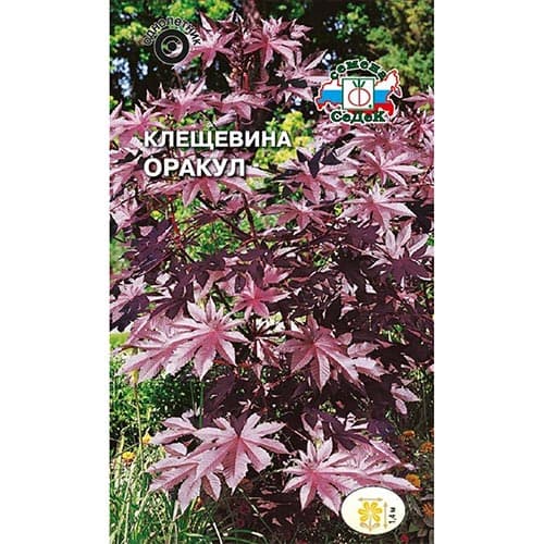 Клещевина Оракул Седек изображение 1 артикул 93818