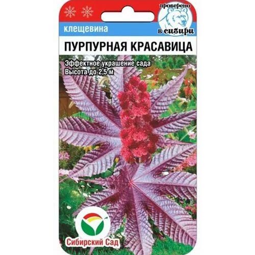 Клещевина Пурпурная красавица Сибирский сад изображение 1 артикул 94430