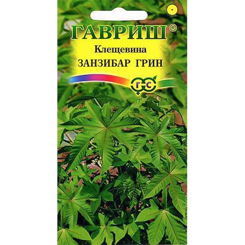 Клещевина Занзибар Грин Гавриш изображение 1 артикул 92093